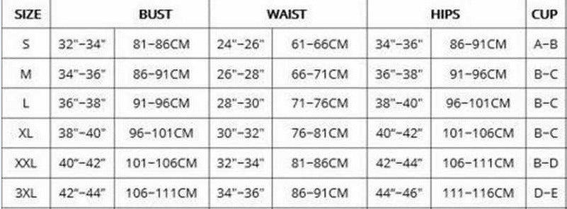 Sexy Ruffled Two Pieces Women Bikini Swimwear